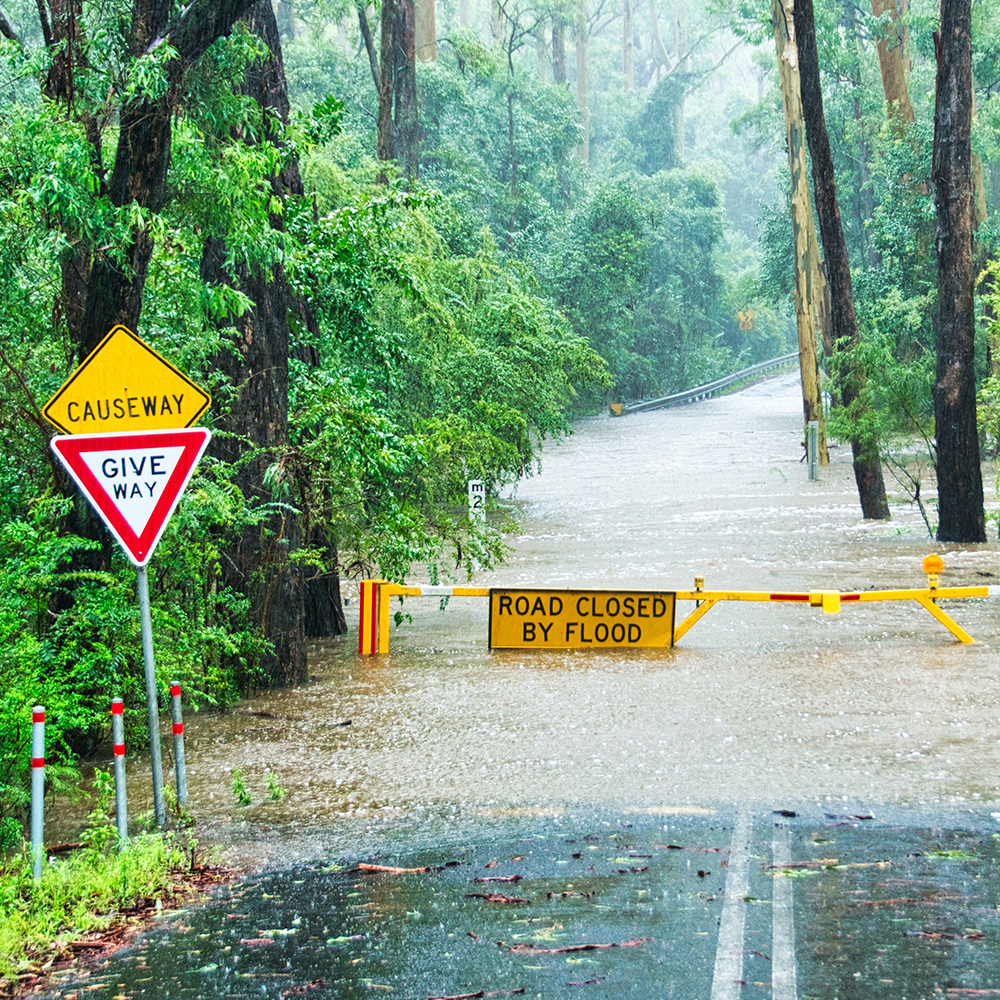 Flooded Road Bush Land Australia
