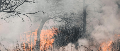 Prepare Your Property Bushfire